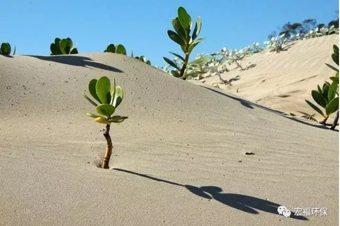 5b972a2a053ec.png blob.png